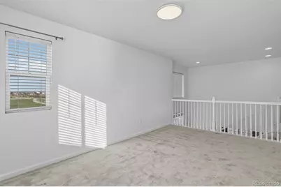 397 Fencerow Place, Brighton, CO 80601 - Photo 24