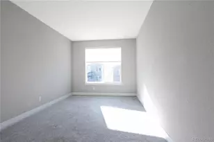 199 Simmental Loop, Castle Rock, CO 80104 - Photo 18