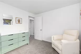 9114 Lander St, Westminster, CO 80031 - Photo 14