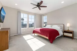 8945 Ramblestone St, Highlands Ranch, CO 80129 - Photo 30