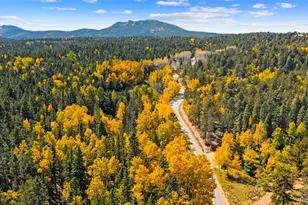 2558 Co Rd 28, Woodland Park, CO 80863 - Photo 2