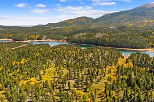 2558 Co Rd 28, Woodland Park, CO 80863 - Photo 40