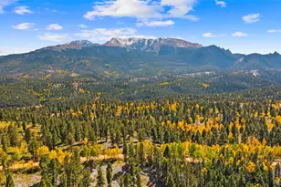 2558 Co Rd 28, Woodland Park, CO 80863 - Photo 38