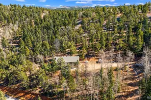 2558 Co Rd 28, Woodland Park, CO 80863 - Photo 36