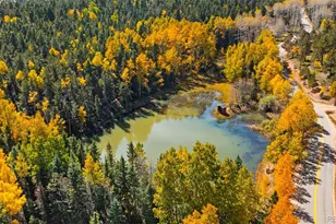 2558 Co Rd 28, Woodland Park, CO 80863 - Photo 4