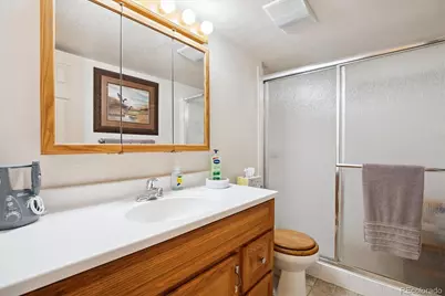 10754 Towerbridge Circle, Highlands Ranch, CO 80130 - Photo 28