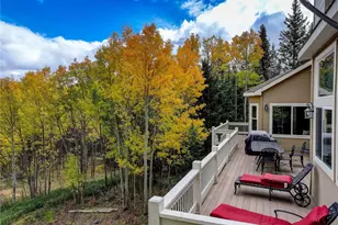 256 Palmer Peak Dr, Fairplay, CO 80440 - Photo 42