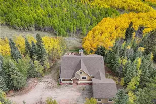 256 Palmer Peak Dr, Fairplay, CO 80440 - Photo 48