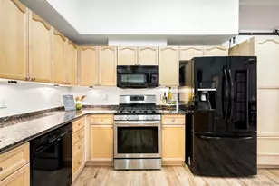 225 N Lincoln Street, Denver, CO 80203 - Photo 6