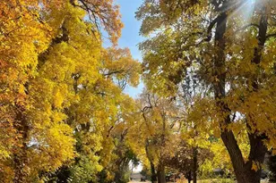 1065 Zang St, Golden, CO 80401 - Photo 2