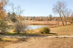 1 Silver Fox Dr, Greenwood Village, CO 80121 - Photo 48