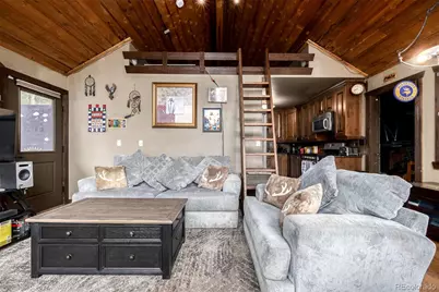 318 Upper Forest Road, Idaho Springs, CO 80452 - Photo 4