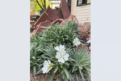 1111 Utica Circle, Boulder, CO 80304 - Photo 38