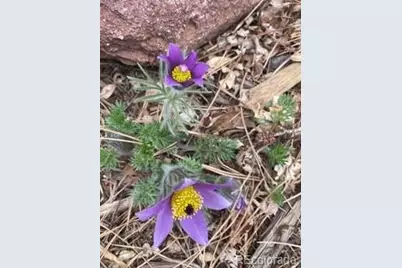 1111 Utica Circle, Boulder, CO 80304 - Photo 38