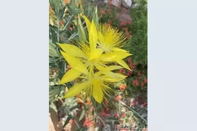 1111 Utica Circle, Boulder, CO 80304 - Photo 36