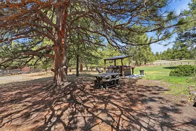 35733 Whispering Pine, Elizabeth, CO 80107 - Photo 30