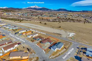 884 Trout Creek Dr, Fairplay, CO 80440 - Photo 12