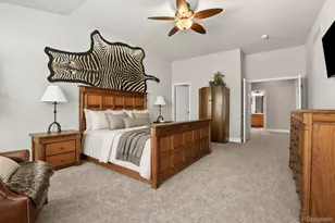 8787 Longs Peak Cir, Windsor, CO 80550 - Photo 18