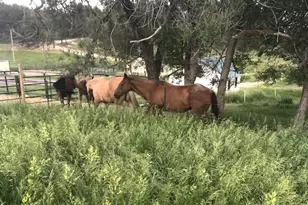 17245 Elbert Rd, Peyton, CO 80831 - Photo 42