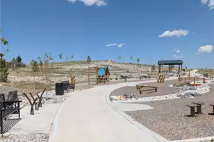 13470 Gandy Dancer Wy, Parker, CO 80134 - Photo 40
