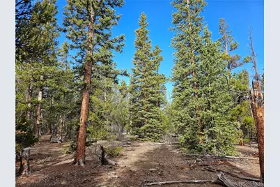 Pcs#7765 & 12057 Rollies Trail, Alma, CO 80420 - Photo 20