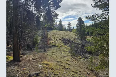 Pcs#7765 & 12057 Rollies Trail, Alma, CO 80420 - Photo 26