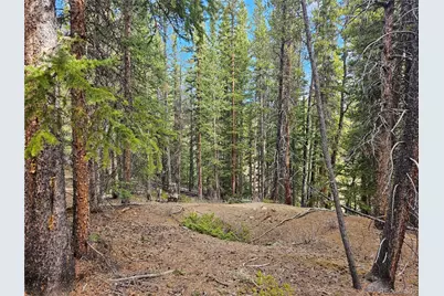 Pcs#7765 & 12057 Rollies Trail, Alma, CO 80420 - Photo 12