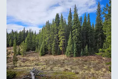 Pcs#7765 & 12057 Rollies Trail, Alma, CO 80420 - Photo 1