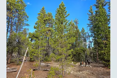 Pcs#7765 & 12057 Rollies Trail, Alma, CO 80420 - Photo 14