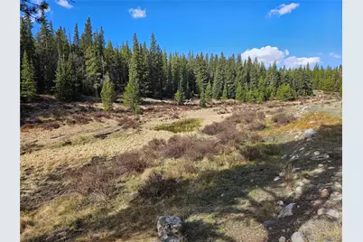 Pcs#7765 & 12057 Rollies Trail, Alma, CO 80420 - Photo 28