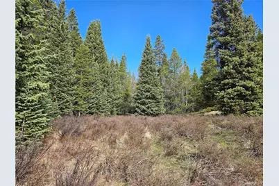 Pcs#7765 & 12057 Rollies Trail, Alma, CO 80420 - Photo 4