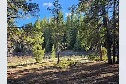Pcs#7765 & 12057 Rollies Trail, Alma, CO 80420 - Photo 40