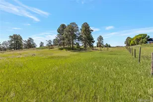 10461 Black Forest Dr, Parker, CO 80138 - Photo 1