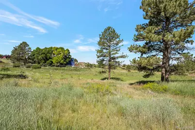 10461 Black Forest Drive, Parker, CO 80138 - Photo 8