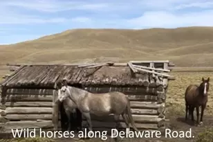 000 Lipan Rd, Hartsel, CO 80449 - Photo 18