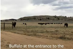 000 Lipan Rd, Hartsel, CO 80449 - Photo 12