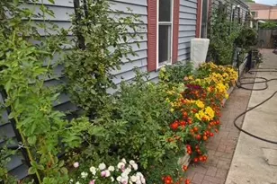 308 Elm St, Lochbuie, CO 80603 - Photo 2