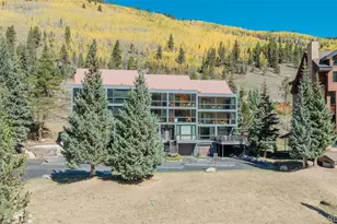 105 Beeler Pl, Frisco, CO 80443 - Photo 44