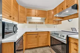 105 Beeler Pl, Frisco, CO 80443 - Photo 12