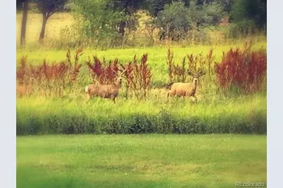 16011 W 56th Place, Golden, CO 80403 - Photo 28