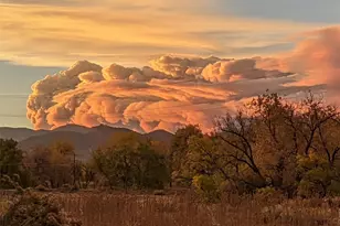 16011 W 56th Pl, Golden, CO 80403 - Photo 36