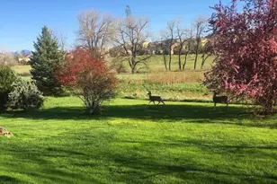 16011 W 56th Pl, Golden, CO 80403 - Photo 30