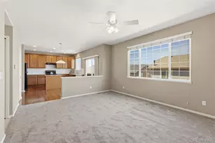 7003 Harrier, Colorado Springs, CO 80922 - Photo 18