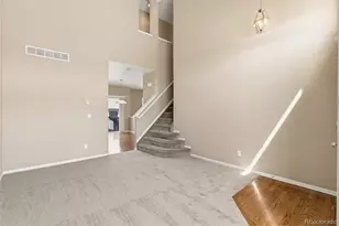 7003 Harrier, Colorado Springs, CO 80922 - Photo 8