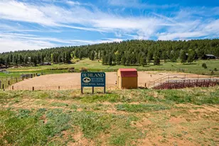 55 Deer Trail Dr, Bailey, CO 80421 - Photo 30
