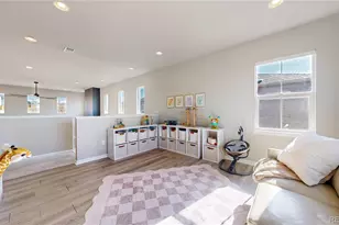 1107 Basalt Ridge Loop, Castle Rock, CO 80108 - Photo 22