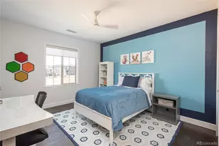 10616 Greycliffe Dr, Highlands Ranch, CO 80126 - Photo 30