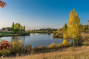 10616 Greycliffe Dr, Highlands Ranch, CO 80126 - Photo 44