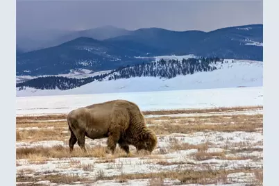 1000 Yellowstone Road, Hartsel, CO 80449 - Photo 36