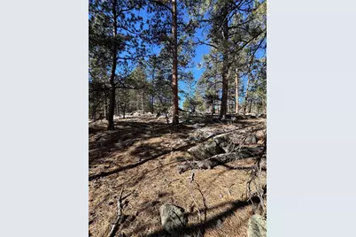 861A State Highway 24, Lake George, CO 80827 - Photo 16